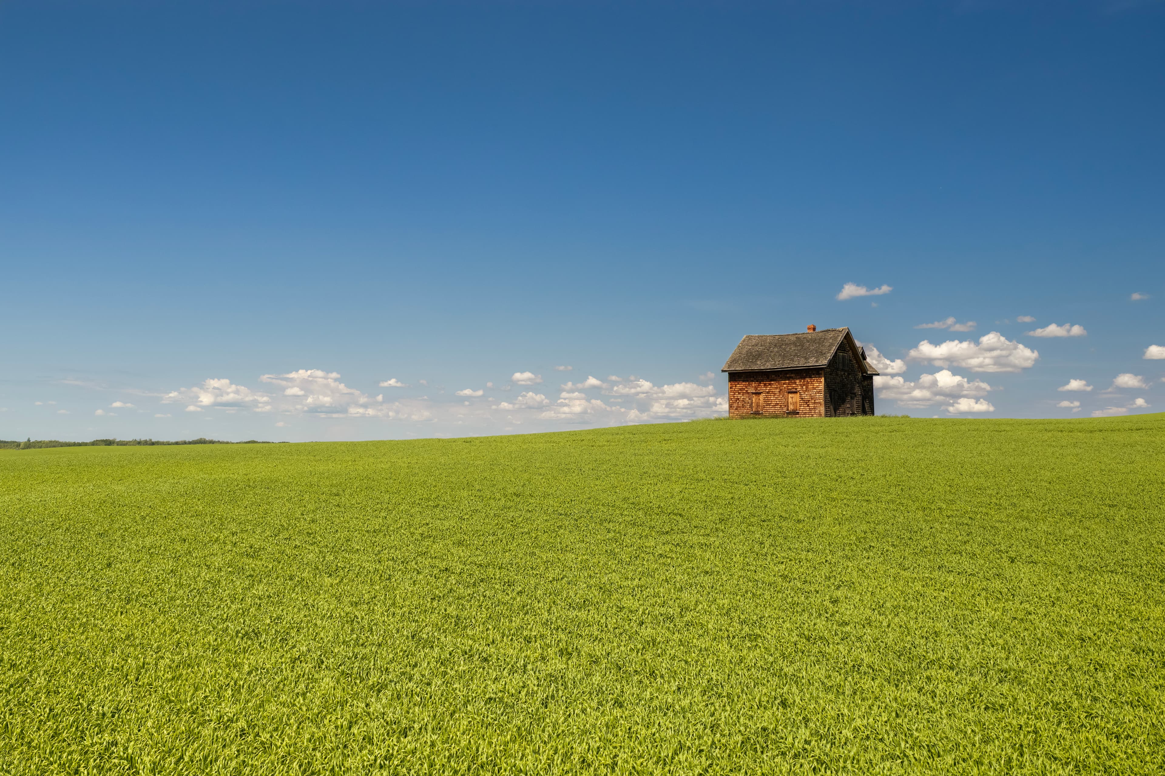 Historic farmhouse standing in a green Alberta field near Plamondon